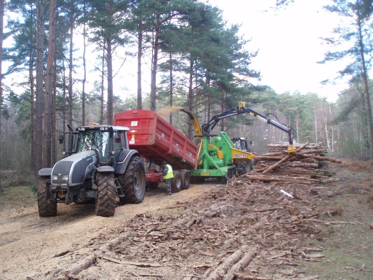 Illustrative forestry processing equipment handling wood material.